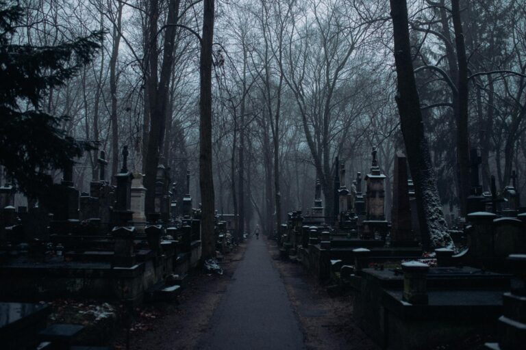 wrongful death lawsuit guide